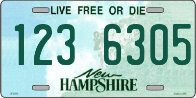 NH license plate 1236305