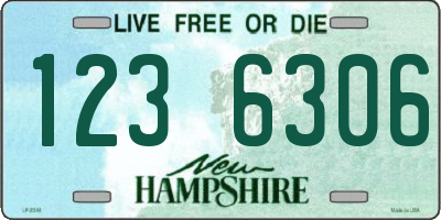 NH license plate 1236306