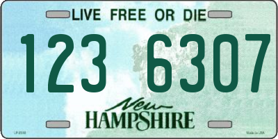 NH license plate 1236307