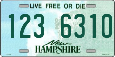 NH license plate 1236310