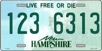 NH license plate 1236313