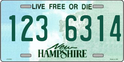 NH license plate 1236314