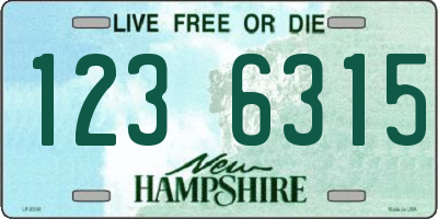 NH license plate 1236315