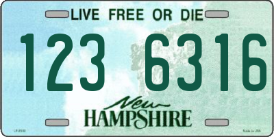 NH license plate 1236316