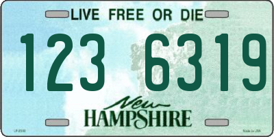 NH license plate 1236319
