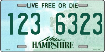 NH license plate 1236323