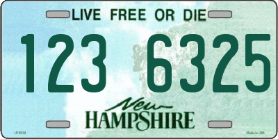 NH license plate 1236325