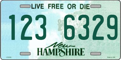 NH license plate 1236329