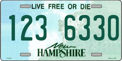 NH license plate 1236330