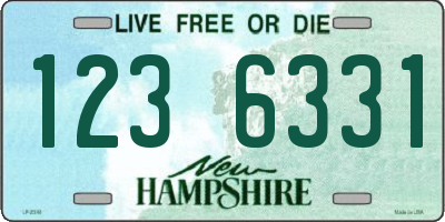 NH license plate 1236331