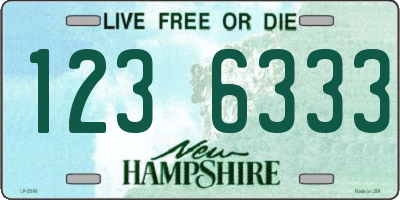 NH license plate 1236333