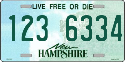 NH license plate 1236334