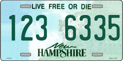 NH license plate 1236335