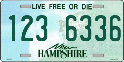 NH license plate 1236336