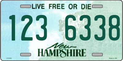 NH license plate 1236338