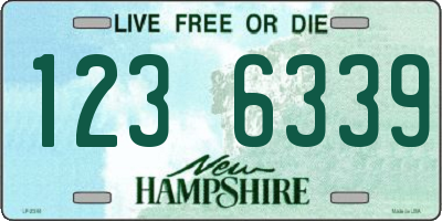 NH license plate 1236339
