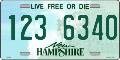 NH license plate 1236340
