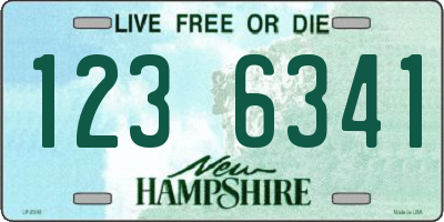 NH license plate 1236341