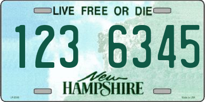 NH license plate 1236345