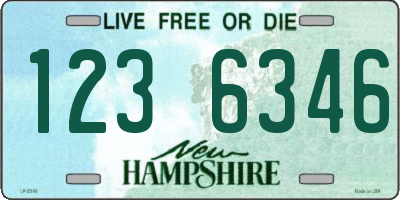 NH license plate 1236346