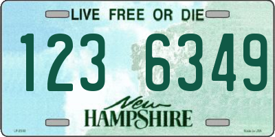 NH license plate 1236349