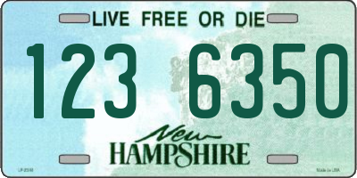 NH license plate 1236350