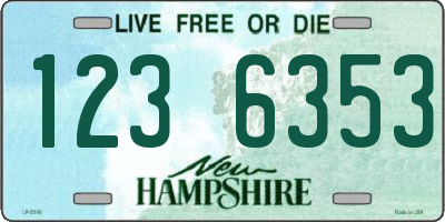 NH license plate 1236353