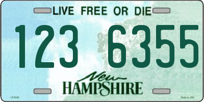 NH license plate 1236355
