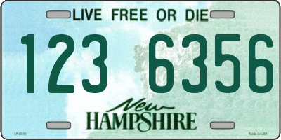 NH license plate 1236356