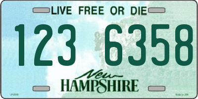 NH license plate 1236358