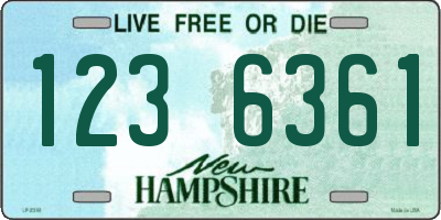 NH license plate 1236361