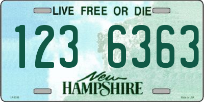 NH license plate 1236363