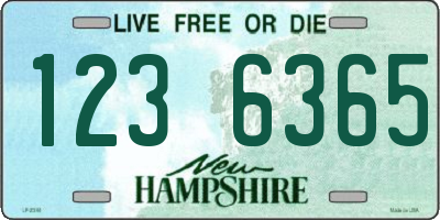 NH license plate 1236365