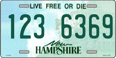 NH license plate 1236369