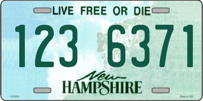 NH license plate 1236371