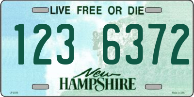 NH license plate 1236372