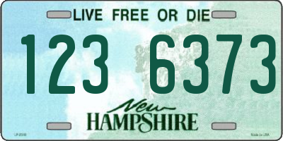 NH license plate 1236373
