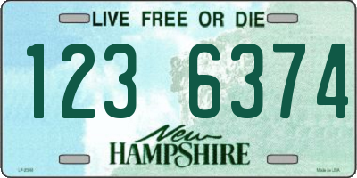 NH license plate 1236374