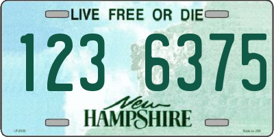 NH license plate 1236375
