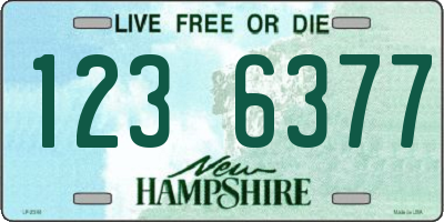 NH license plate 1236377