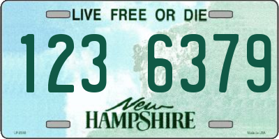 NH license plate 1236379