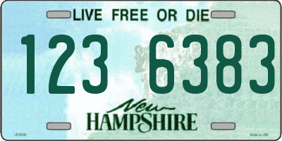 NH license plate 1236383
