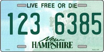 NH license plate 1236385