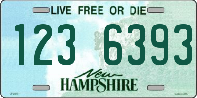 NH license plate 1236393