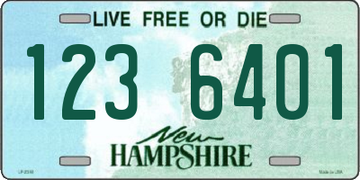 NH license plate 1236401