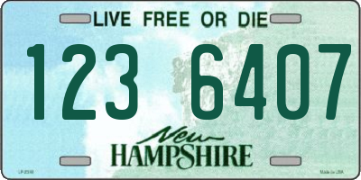 NH license plate 1236407
