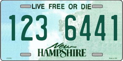 NH license plate 1236441