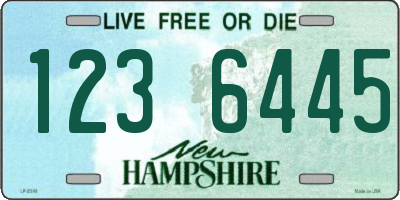 NH license plate 1236445