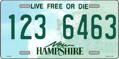 NH license plate 1236463