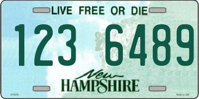 NH license plate 1236489